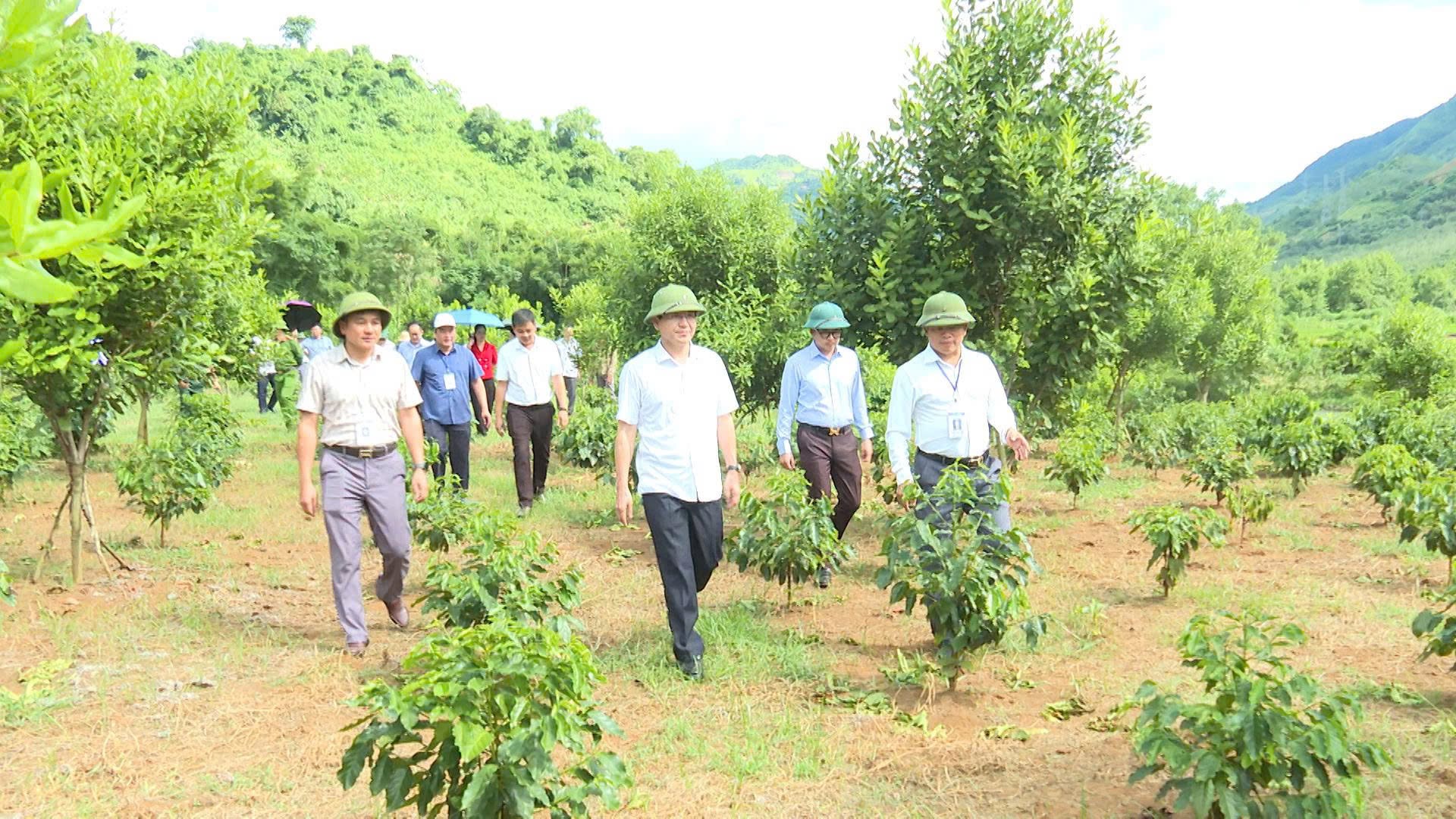 ĐỒNG CHÍ MÙA A VẢNG, ỦY VIÊN DỰ KHUYẾT BCHTW ĐẢNG, PHÓ BÍ THƯ TỈNH ỦY, CHỦ TỊCH UB MTTQ VIỆT NAM TỈNH THĂM, LÀM VIỆC TẠI XÃ MƯỜNG MÙN