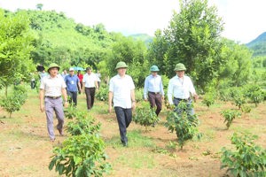 ĐỒNG CHÍ MÙA A VẢNG, ỦY VIÊN DỰ KHUYẾT BCHTW ĐẢNG, PHÓ BÍ THƯ TỈNH ỦY, CHỦ TỊCH UB MTTQ VIỆT NAM TỈNH THĂM, LÀM VIỆC TẠI XÃ MƯỜNG MÙN